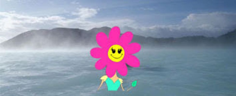 icelandToon icelandToon
