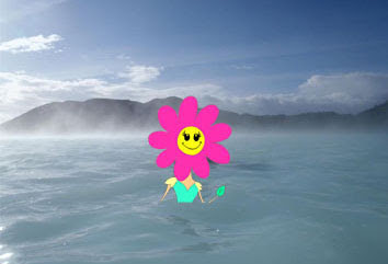 icelandToon icelandToon