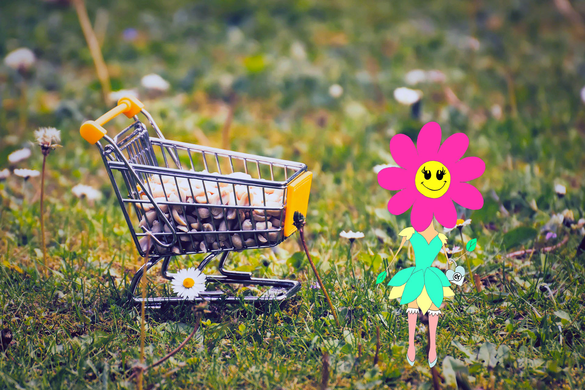 Shopping Cart copy Shopping Cart copy