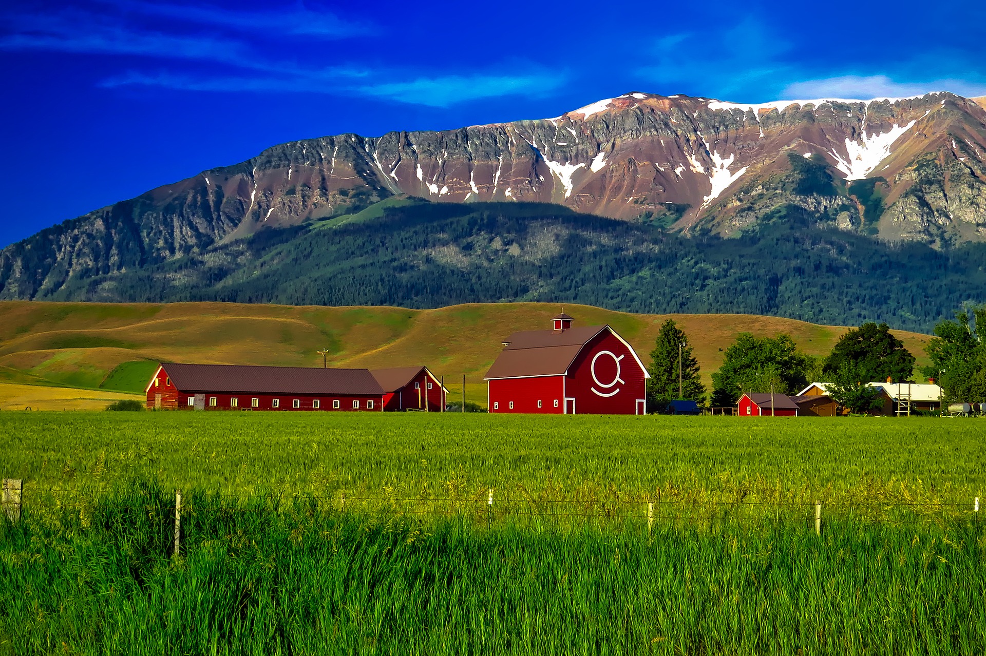oregon-1721557_1920 oregon-1721557_1920