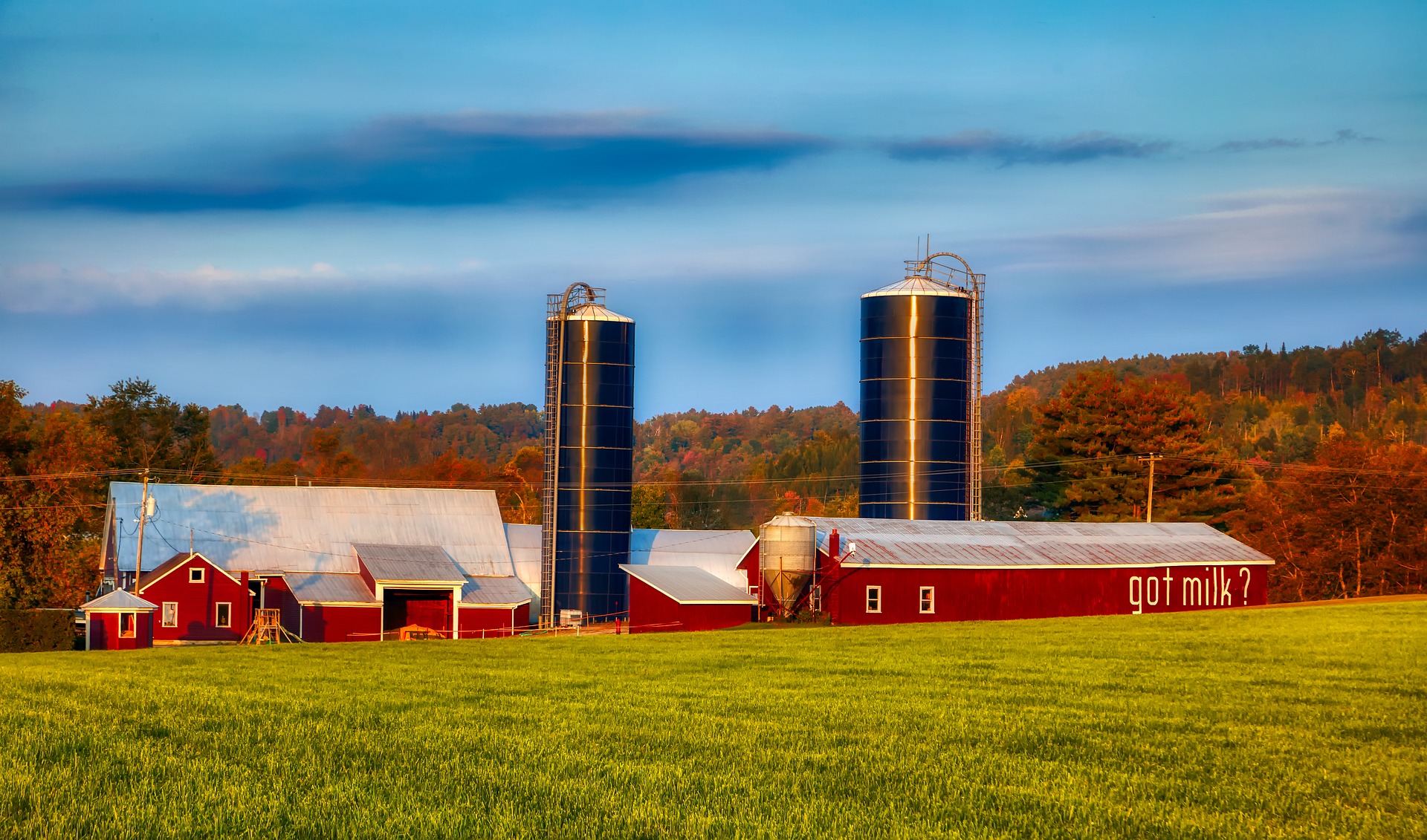 dairy-farm-4019962_1920 dairy-farm-4019962_1920